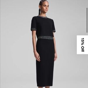 brand new ALC skirt and top